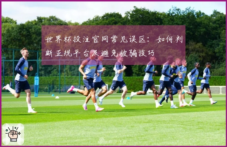 世界杯投注官网常见误区：如何判断正规平台及避免被骗技巧