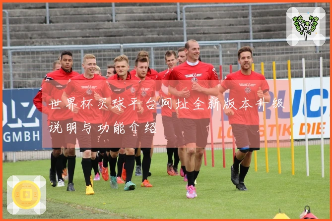世界杯买球平台网址全新版本升级说明与功能介绍