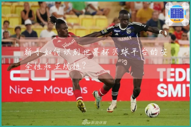 新手如何识别世界杯买球平台的安全性和正规性？