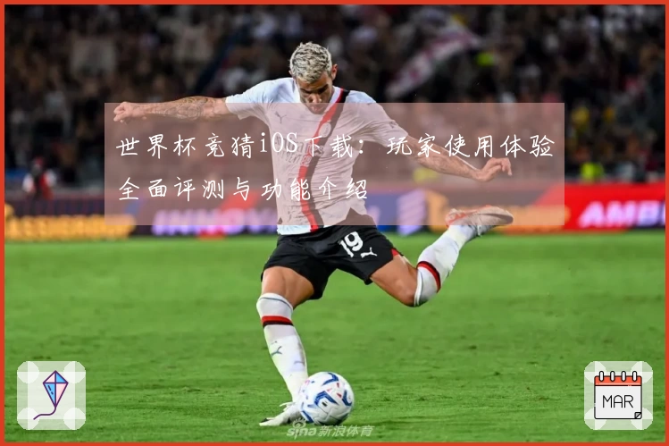 世界杯竞猜iOS下载：玩家使用体验全面评测与功能介绍
