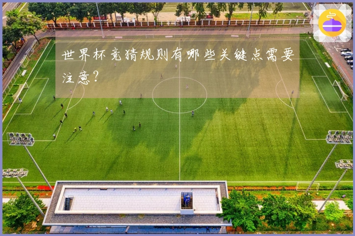 世界杯竞猜规则有哪些关键点需要注意？