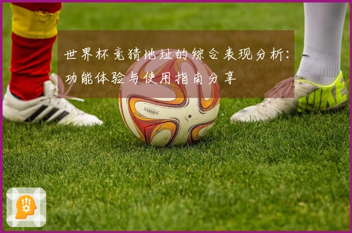 世界杯竞猜地址的综合表现分析：功能体验与使用指南分享