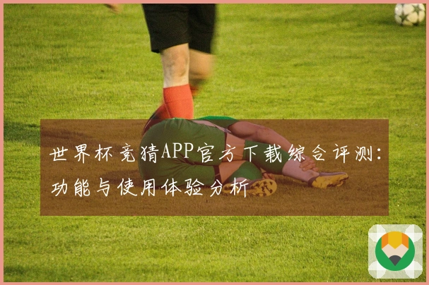 世界杯竞猜APP官方下载综合评测：功能与使用体验分析