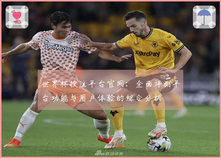 世界杯投注平台官网：全面评测平台功能与用户体验的综合分析