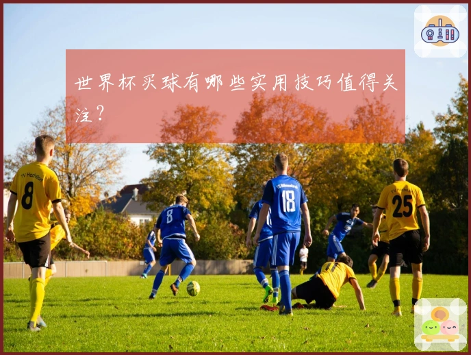 世界杯买球有哪些实用技巧值得关注？