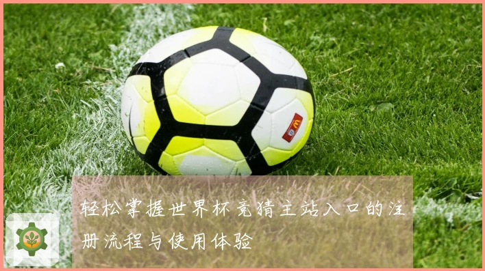 轻松掌握世界杯竞猜主站入口的注册流程与使用体验