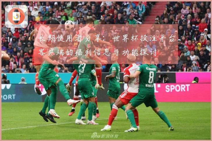长期使用者分享：世界杯投注平台客户端的福利信息与功能探讨