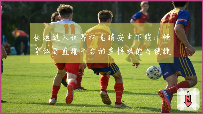 快速进入世界杯竞猜安卓下载，畅享体育直播平台的多样功能与便捷体验