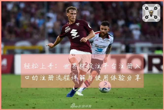 轻松上手：世界杯投注平台注册入口的注册流程详解与使用体验分享