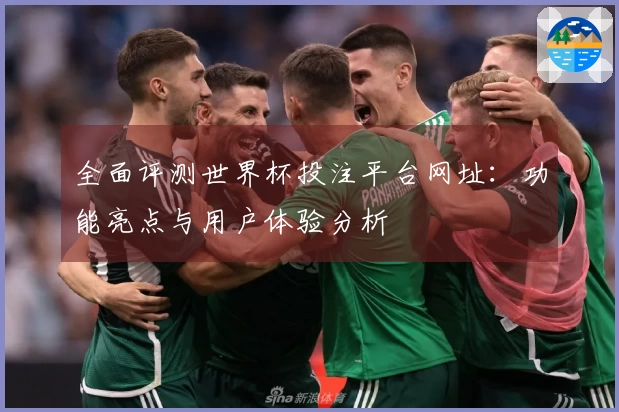 全面评测世界杯投注平台网址：功能亮点与用户体验分析