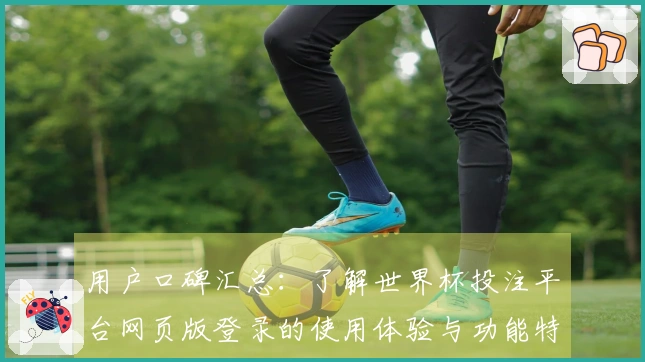 用户口碑汇总：了解世界杯投注平台网页版登录的使用体验与功能特点