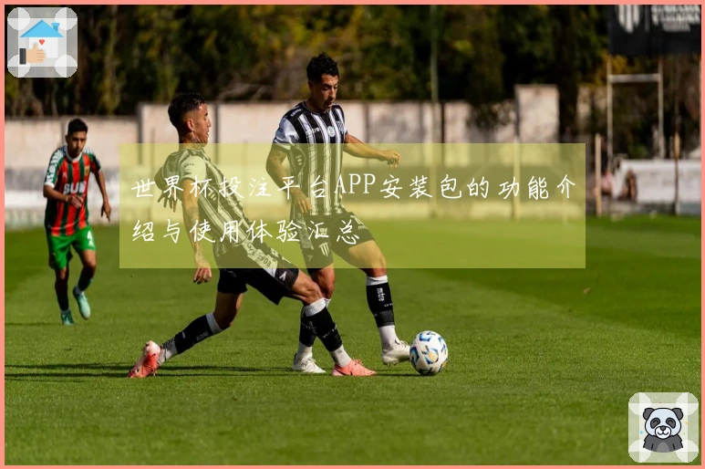 世界杯投注平台APP安装包的功能介绍与使用体验汇总